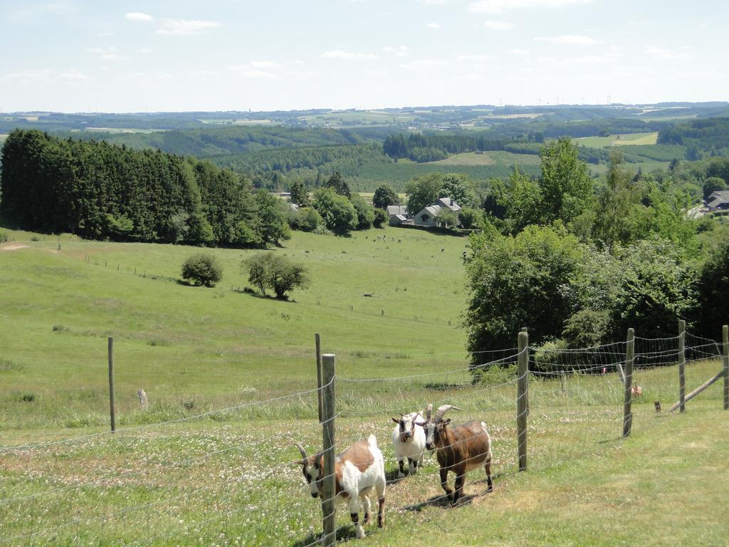 Holiday Home A Pas De Loup La-Roche-en-Ardenne Rom bilde