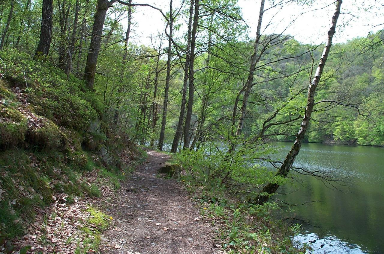 Holiday Home A Pas De Loup La-Roche-en-Ardenne Eksteriør bilde